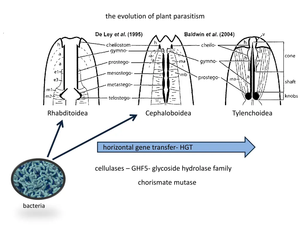 the evolution of plant parasitism