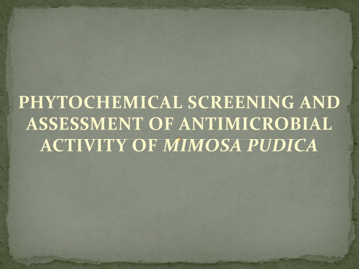 phytochemical screening and assessment