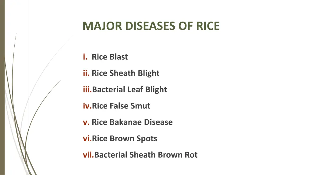 major diseases of rice