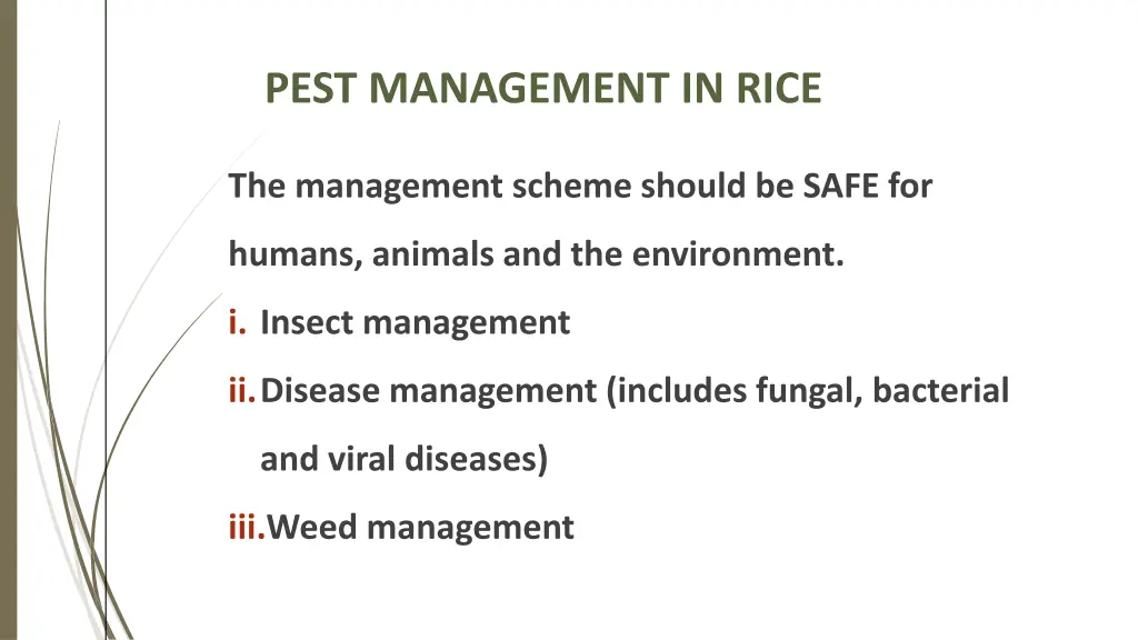pest management in rice