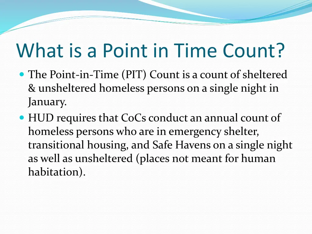 what is a point in time count