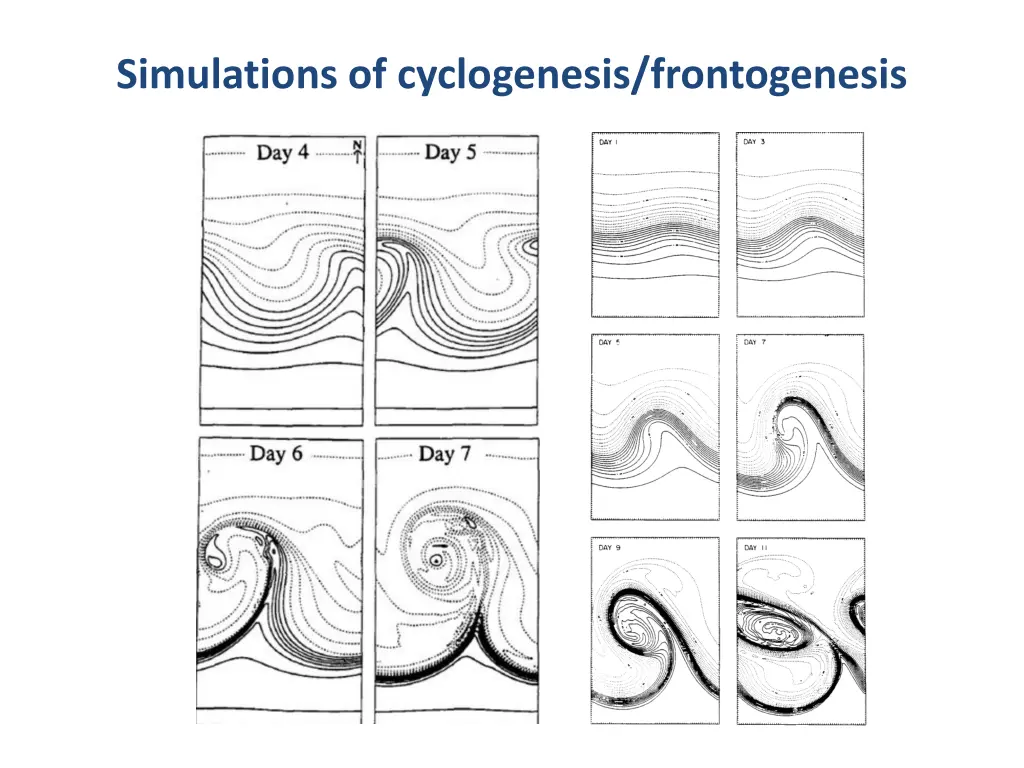 simulations of cyclogenesis frontogenesis