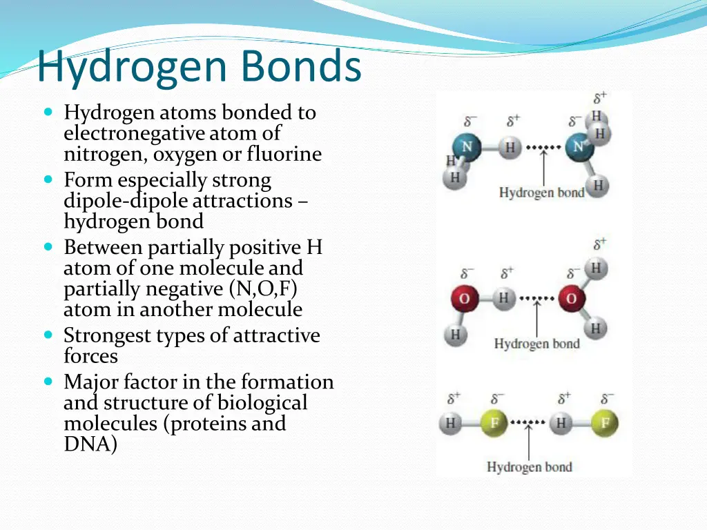 hydrogen bonds hydrogen atoms bonded