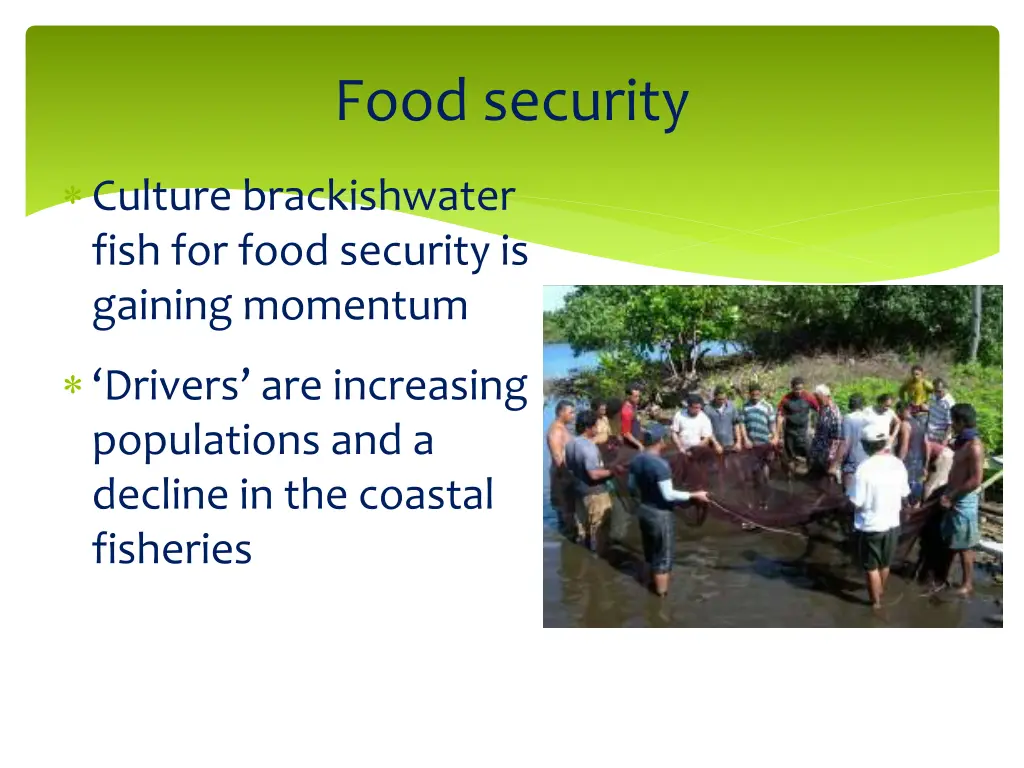 food security