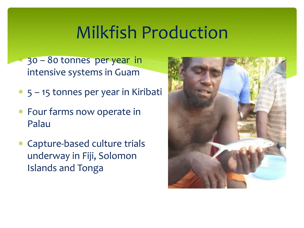 milkfish production