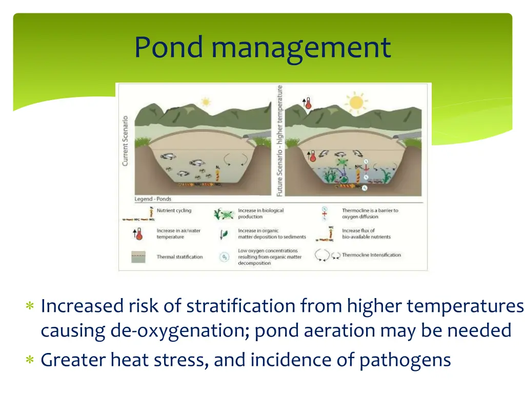 pond management 1