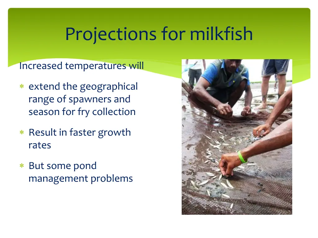 projections for milkfish