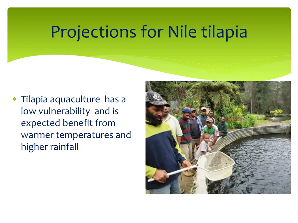 projections for nile tilapia