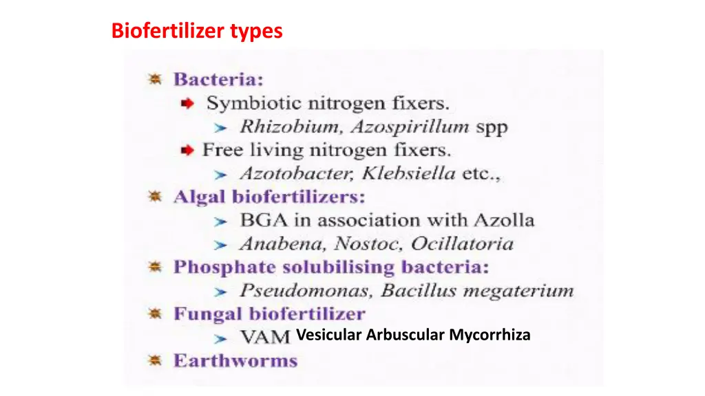 biofertilizer types