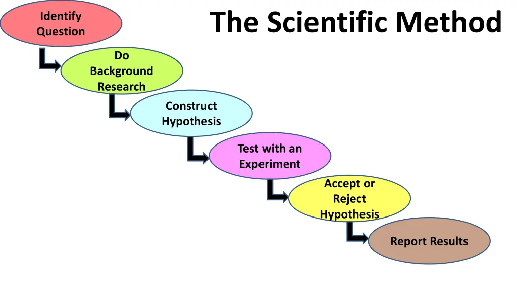 the scientific method