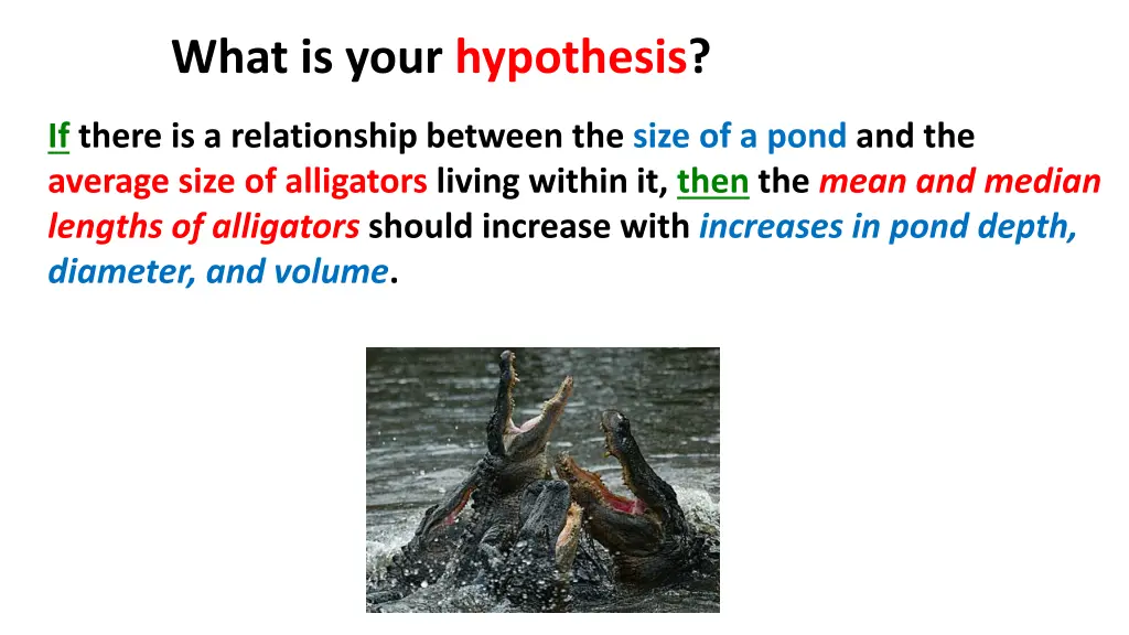 what is your hypothesis