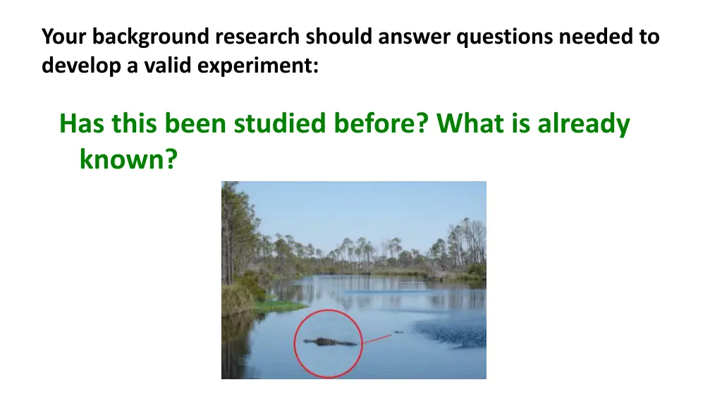 your background research should answer questions 14