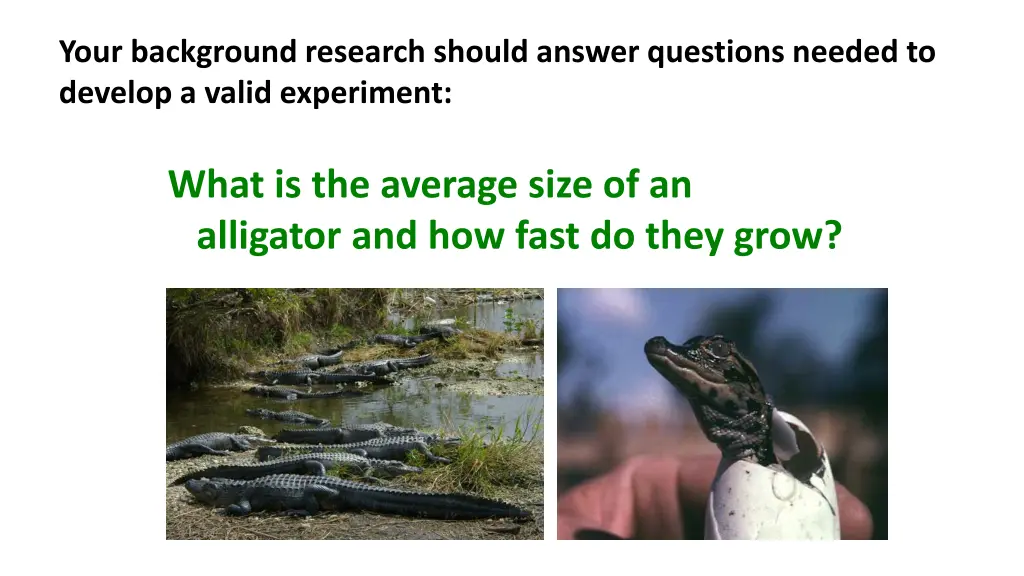 your background research should answer questions 3