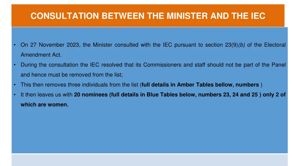 consultation between the minister and the iec