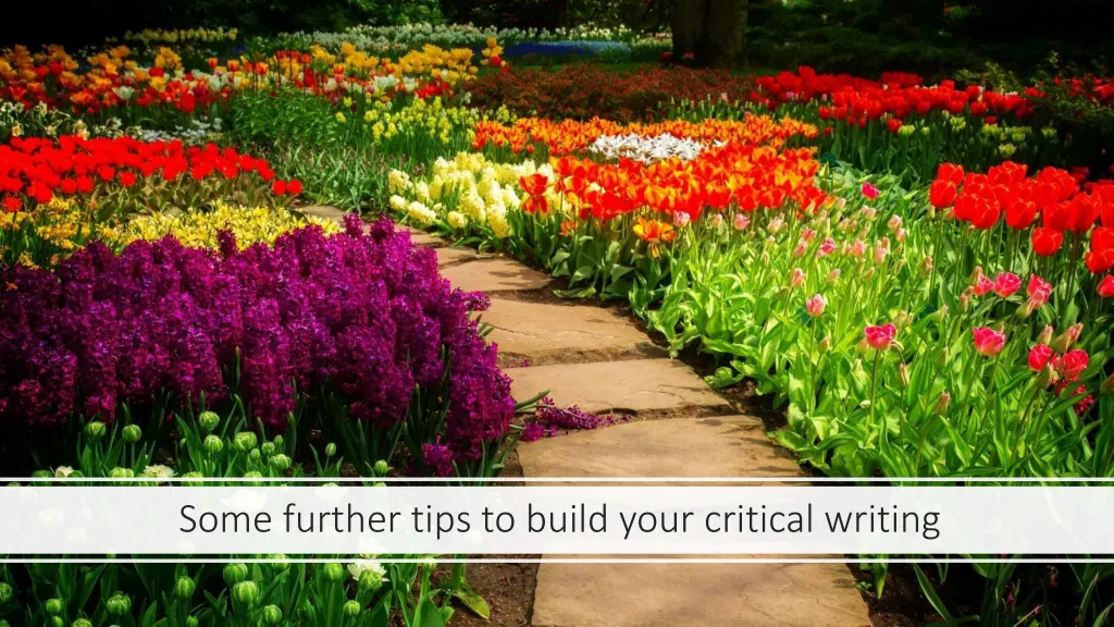 some further tips to build your critical writing