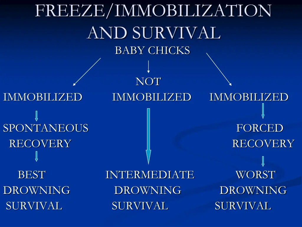 freeze immobilization and survival baby chicks