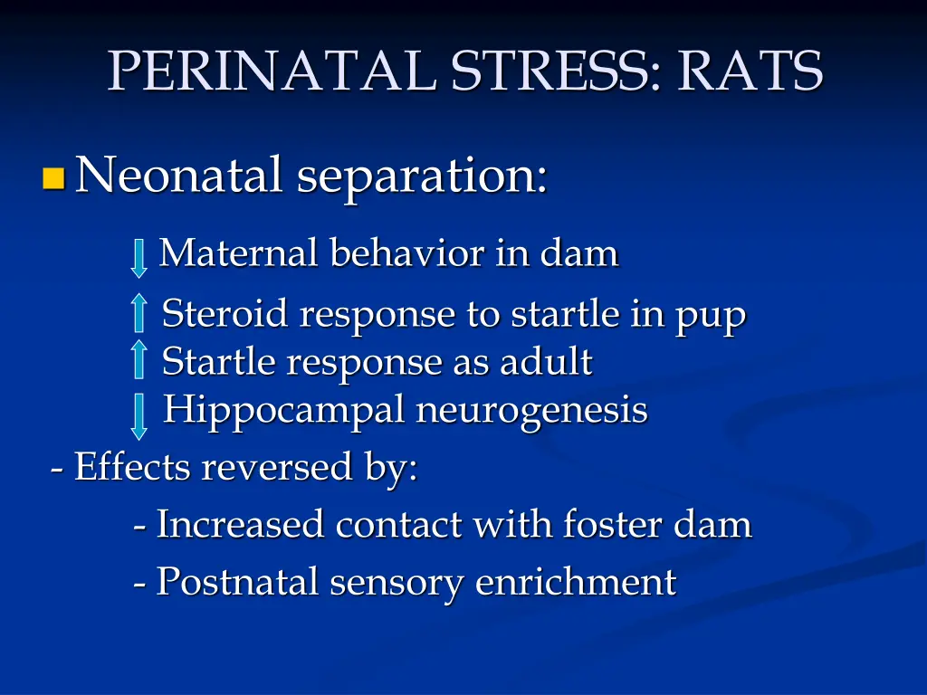 perinatal stress rats