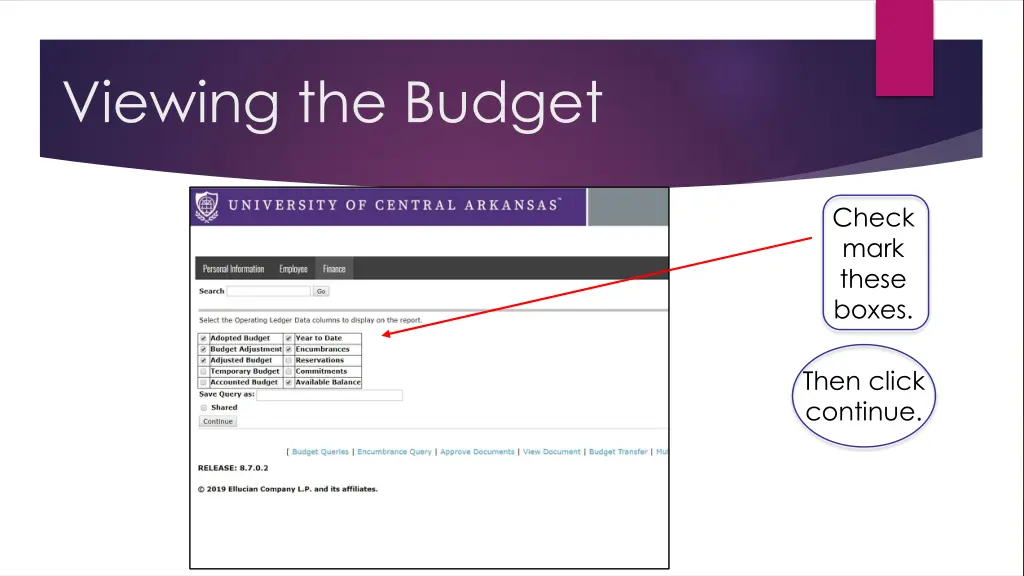 viewing the budget 1