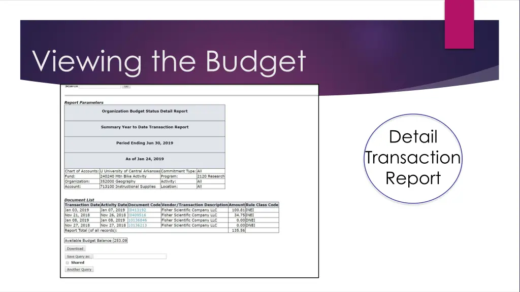 viewing the budget 4