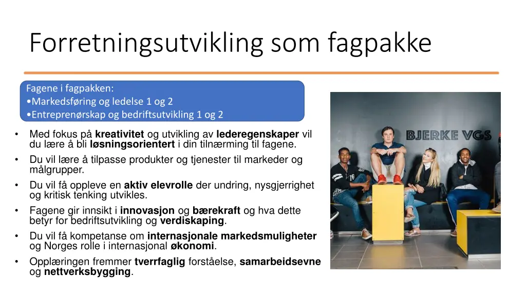 forretningsutvikling som fagpakke