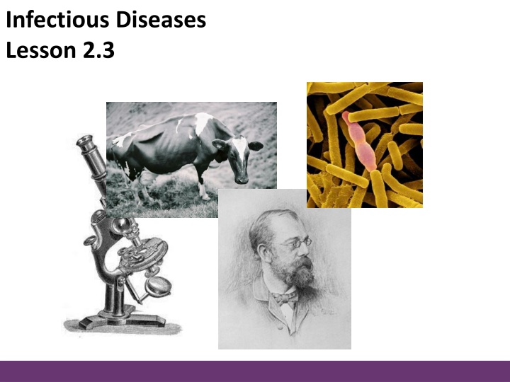 infectious diseases lesson 2 3