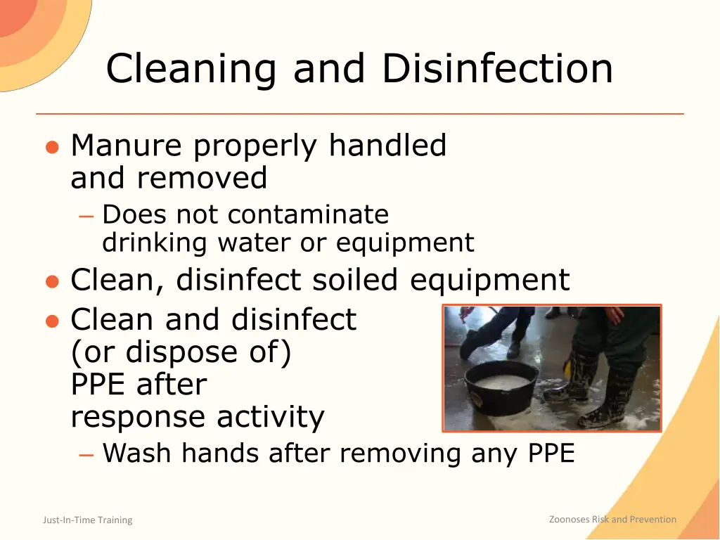 cleaning and disinfection