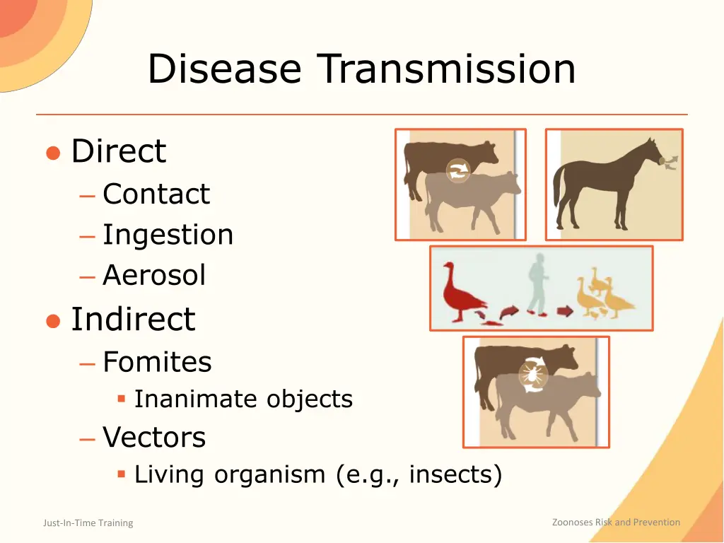 disease transmission