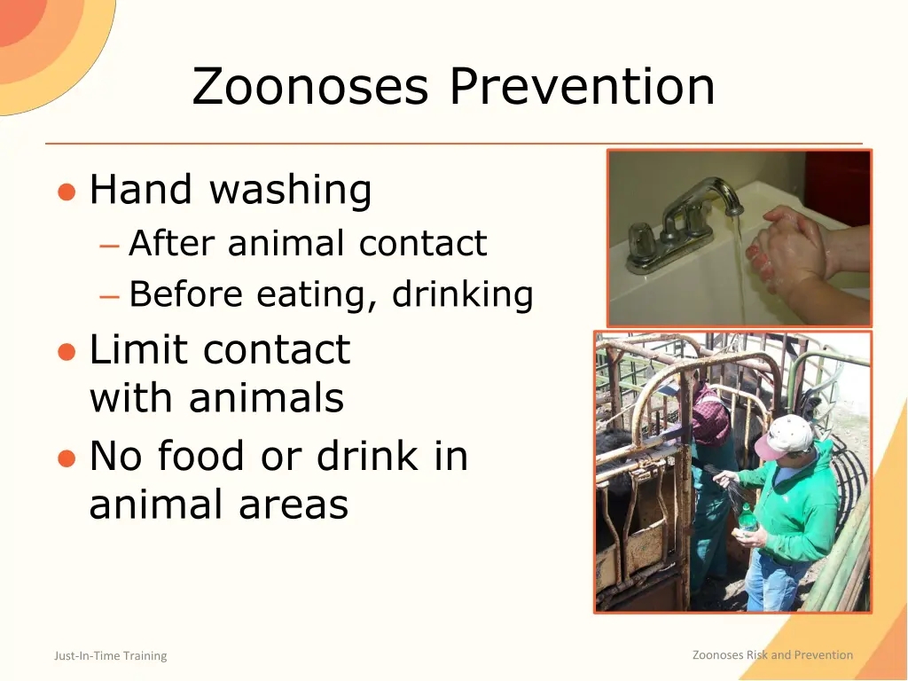 zoonoses prevention