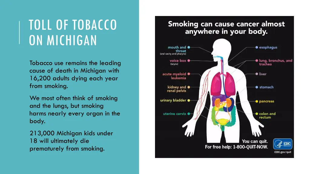 toll of tobacco on michigan