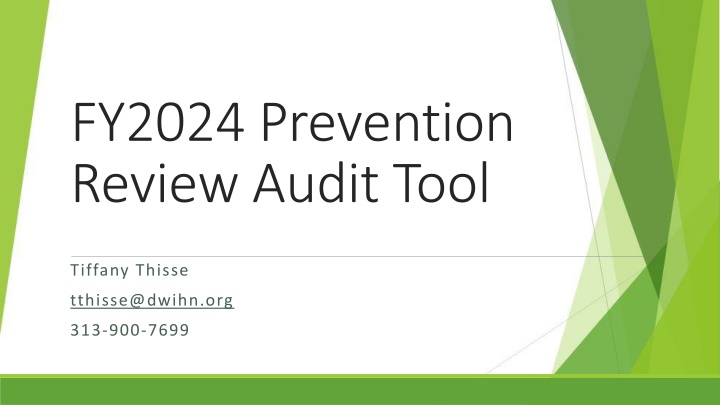 fy2024 prevention review audit tool