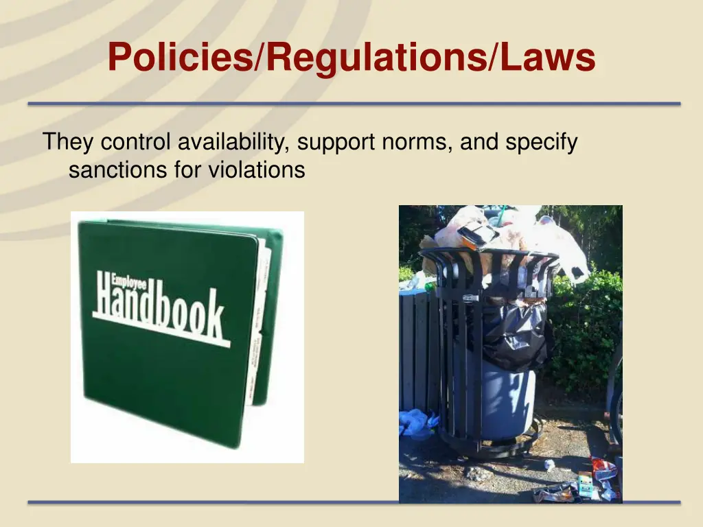 policies regulations laws