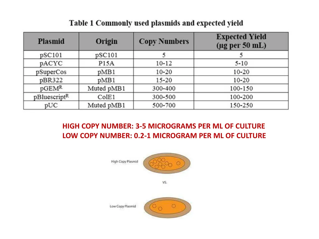 high copy number 3 5 micrograms per ml of culture