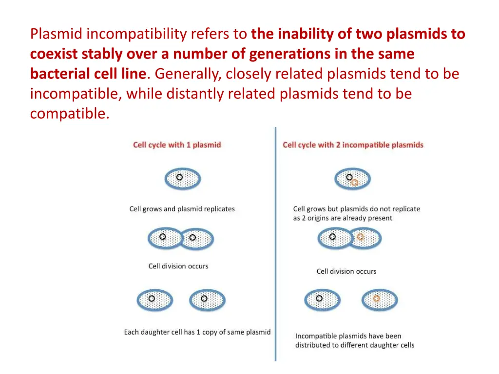 plasmid incompatibility refers to the inability