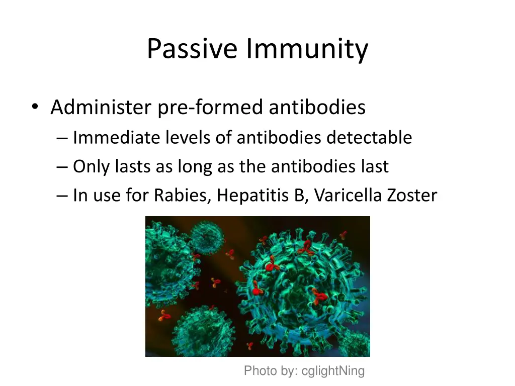 passive immunity