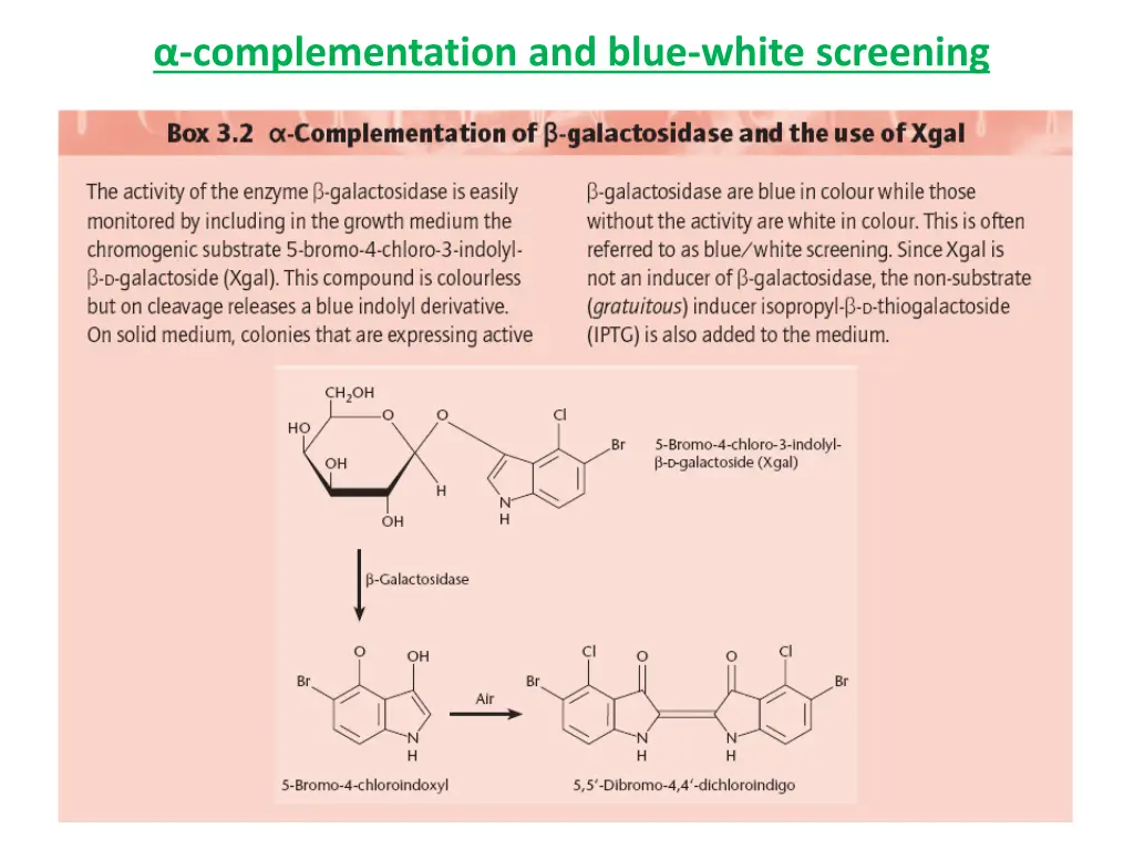 complementation and blue white screening