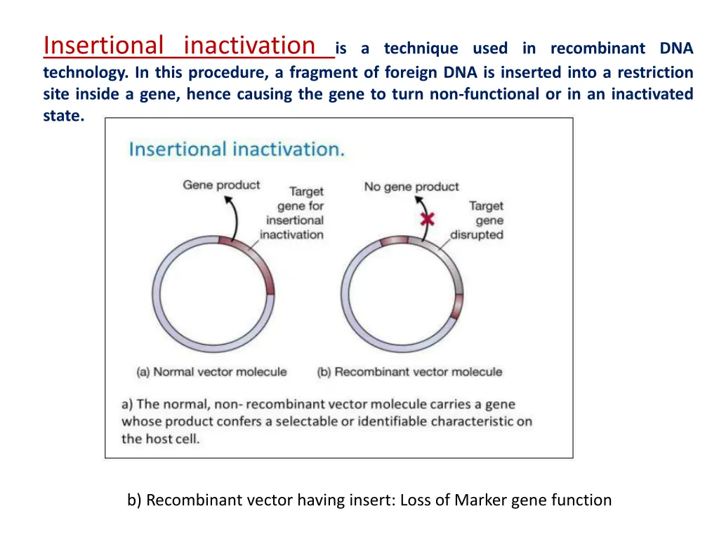 insertional inactivation is a technique used