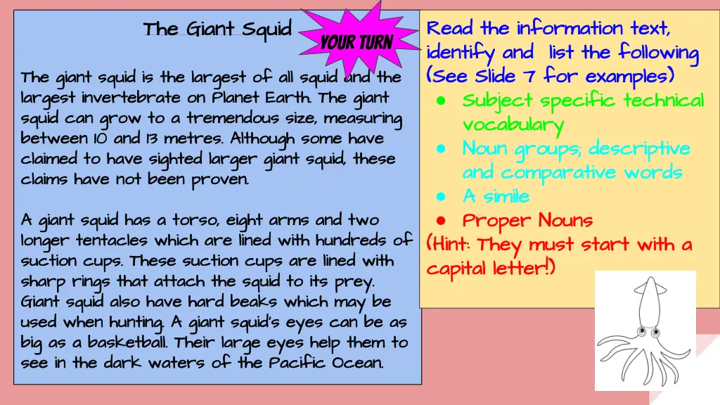 the giant squid the giant squid