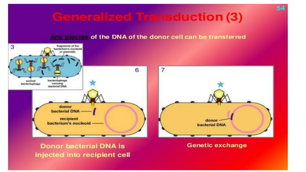 slide11