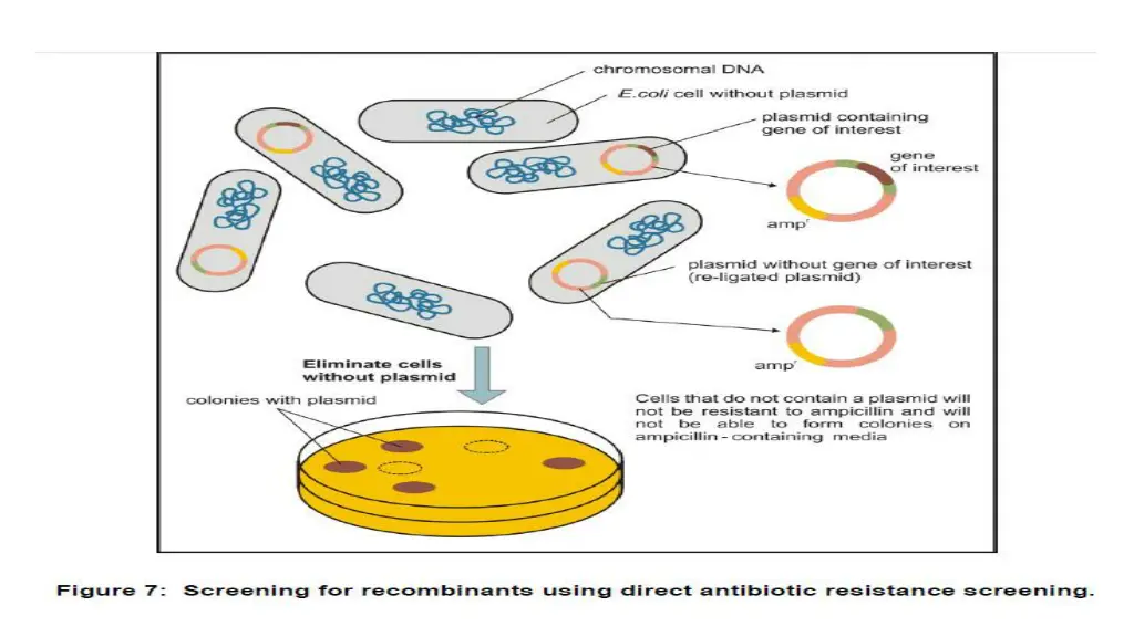 slide21