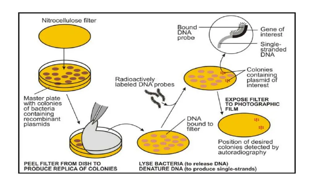 slide30