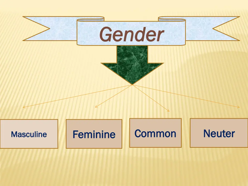 gender gender