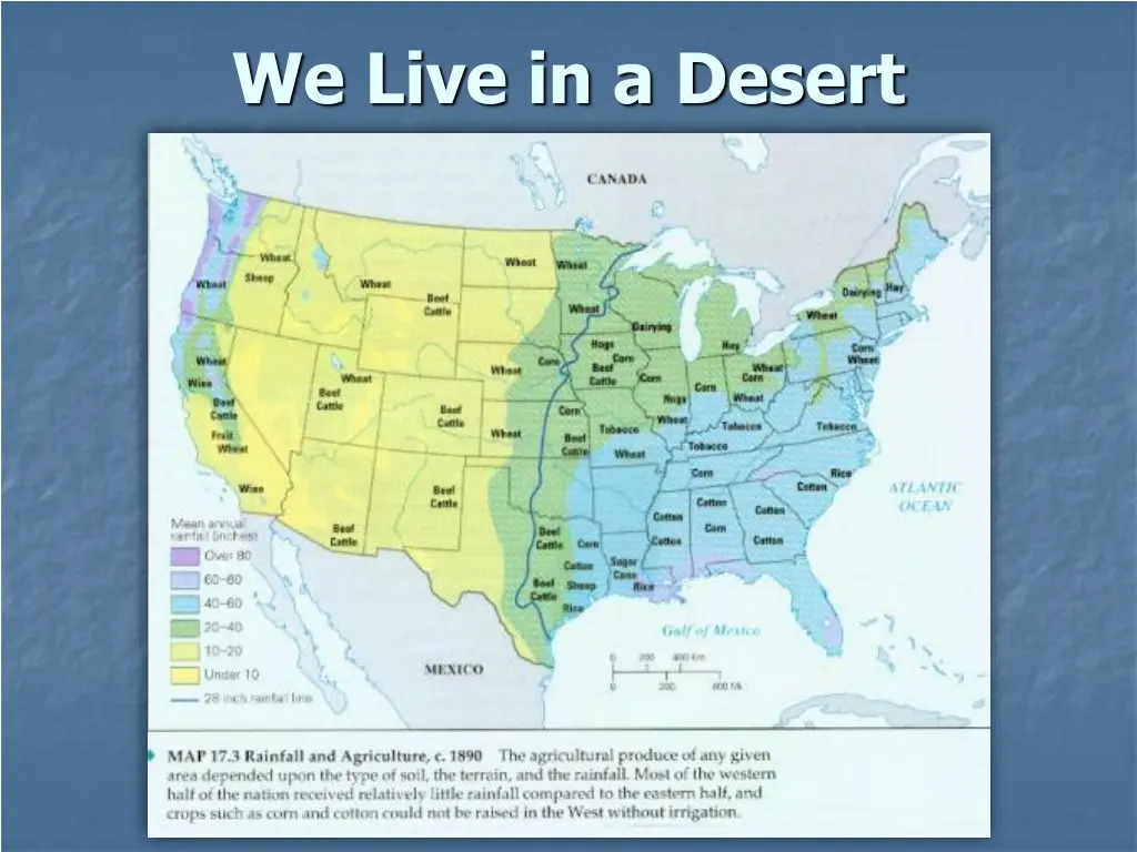 we live in a desert