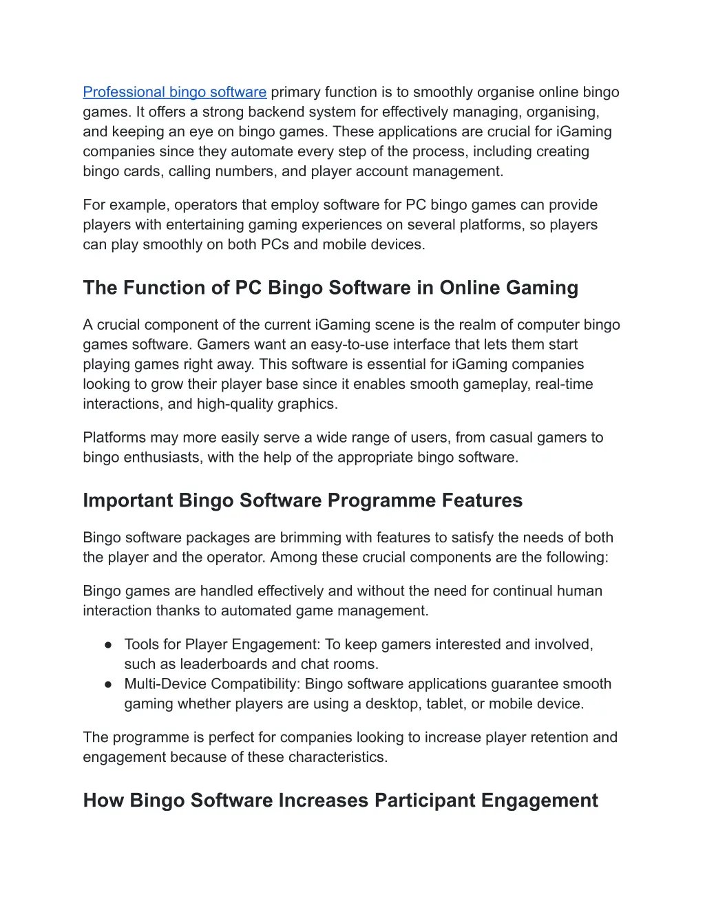 professional bingo software primary function