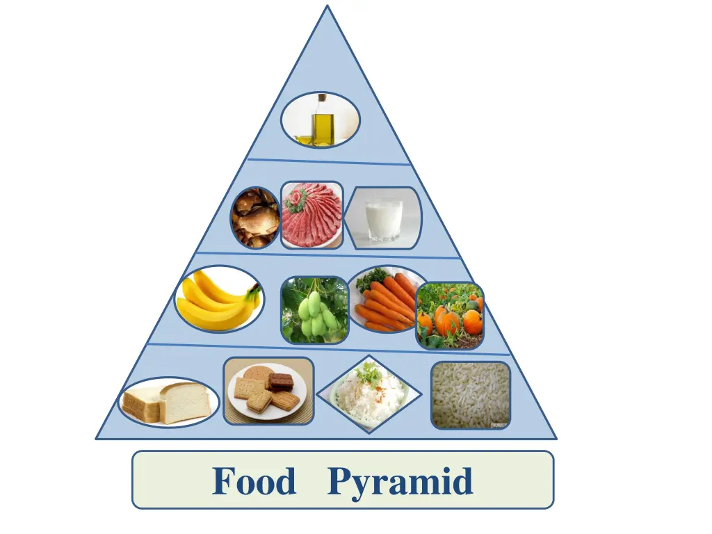 food pyramid 1