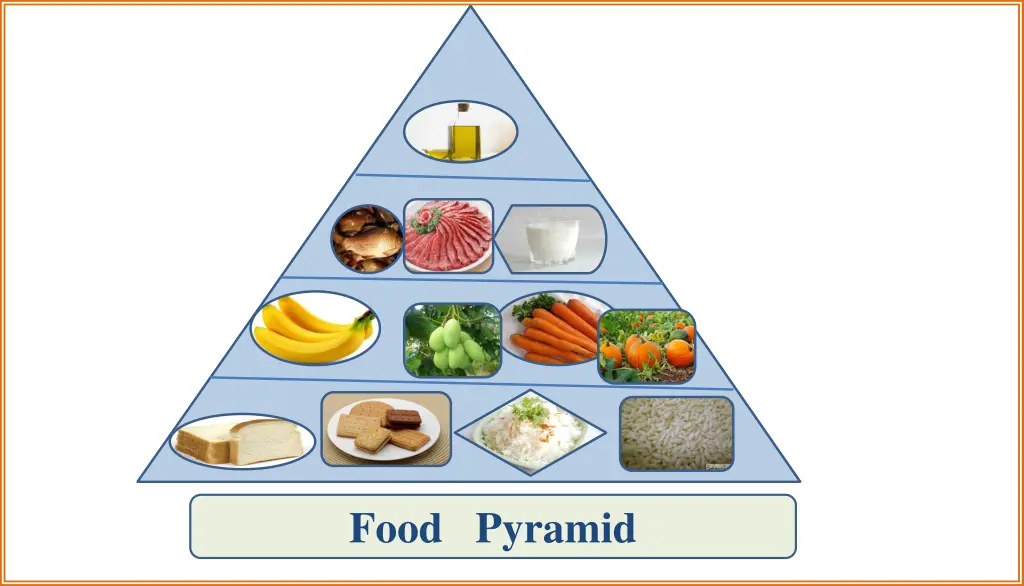 food pyramid