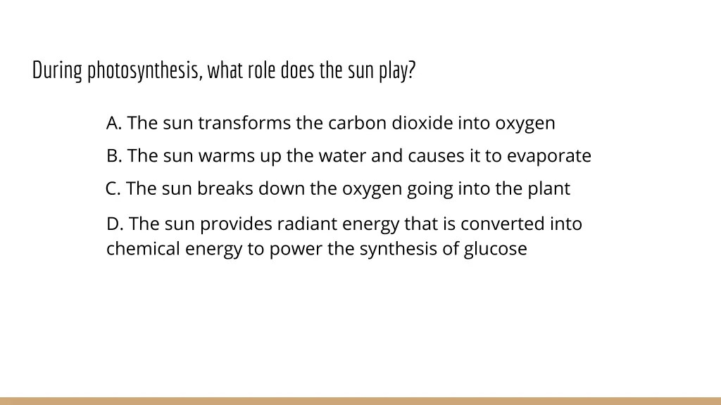 during photosynthesis what role does the sun play