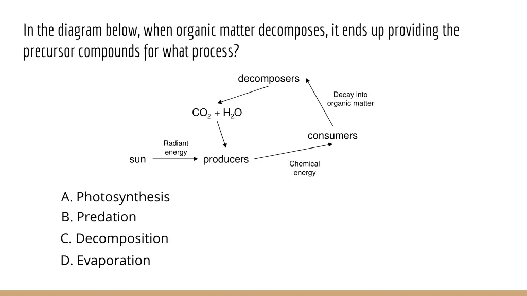 in the diagram below when organic matter