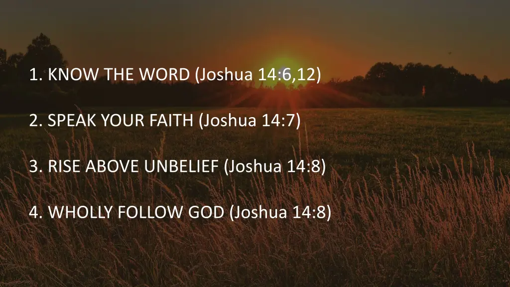 1 know the word joshua 14 6 12