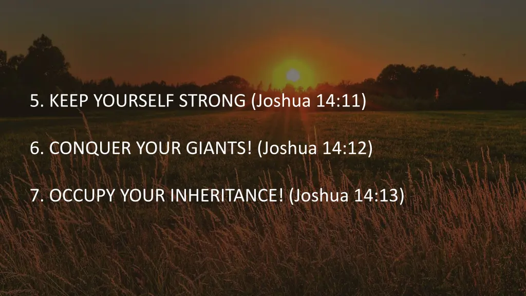 5 keep yourself strong joshua 14 11