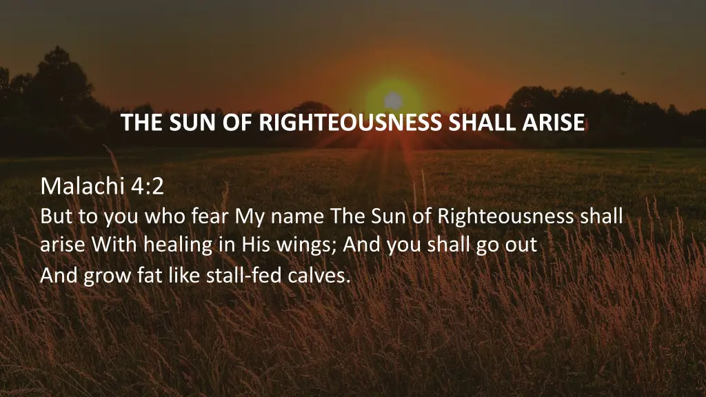 the sun of righteousness shall arise